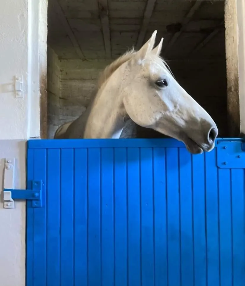 box