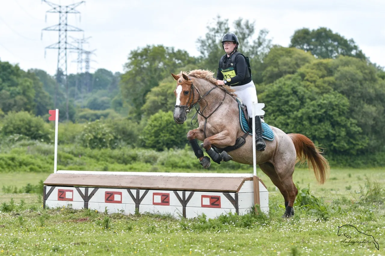 coucours internes Large